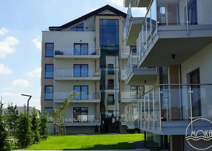 Moka 辛安诺泽蒂